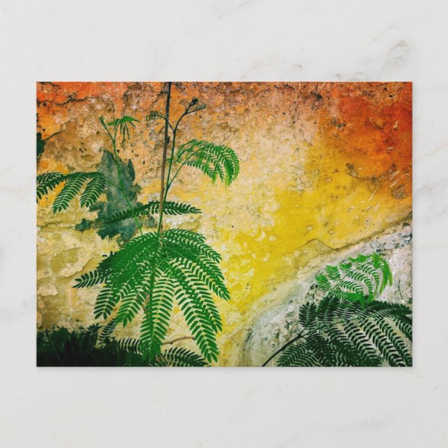 Cartão Postal Parede amarela com planta (Frente)