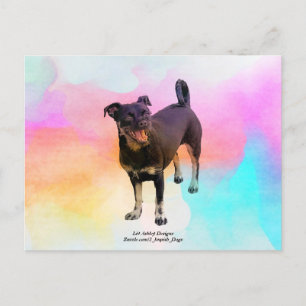 Cartão postal Paris Disco