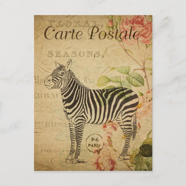 Cartão Postal Paris France Vintage Zebra Viagem (Frente)
