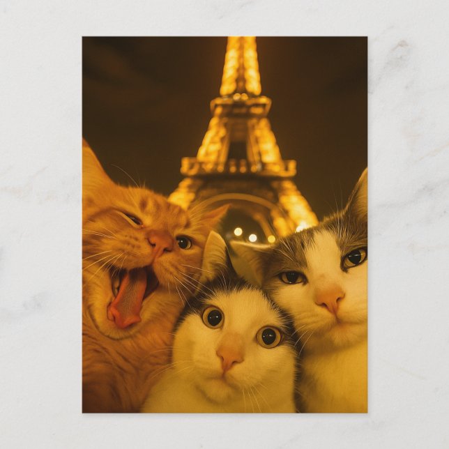 Cartão Postal Paris Night Cat Selfie Squad Lover                 (Frente)