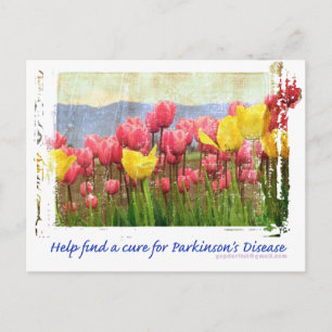 Cartão Postal Parkinsons Campo de Tulipas