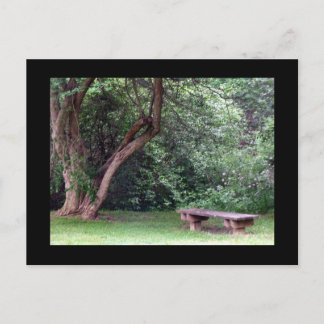 Cartão Postal Parque Blue Spruce nº 3