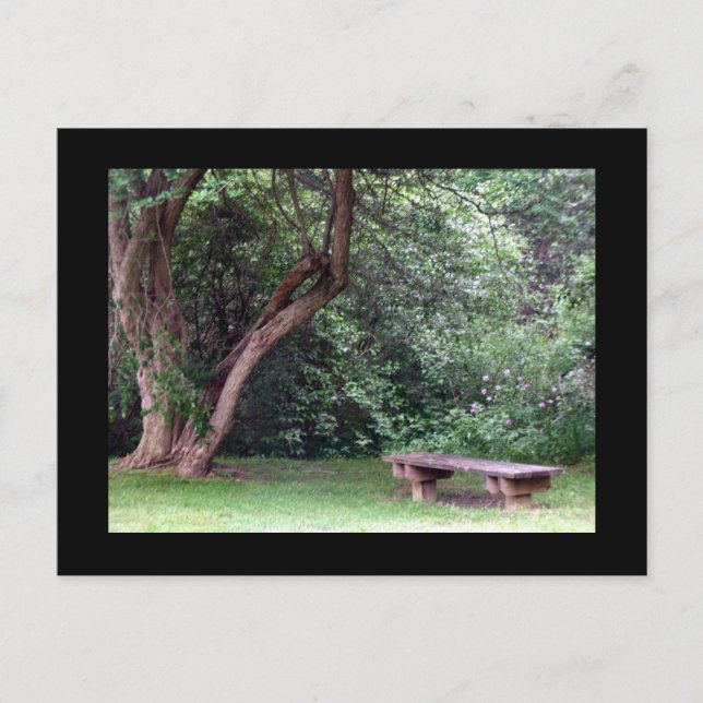 Cartão Postal Parque Blue Spruce nº 3 (Frente)