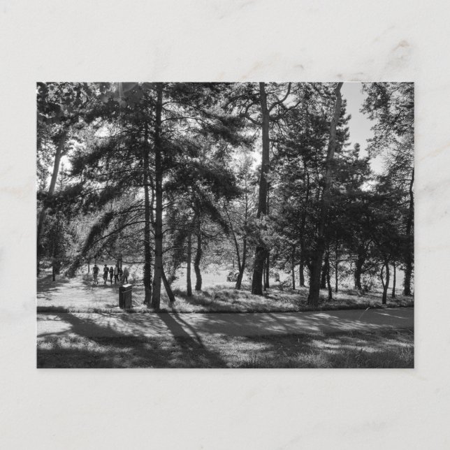 Cartão Postal Parque Bute numa Tarde de Verão. Cardiff Wales. (Frente)