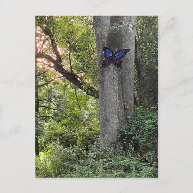 Cartão Postal Parque Butterfly (Frente)