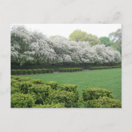 Cartão Postal Parque Central do Jardim Conservatório Nova Iorque