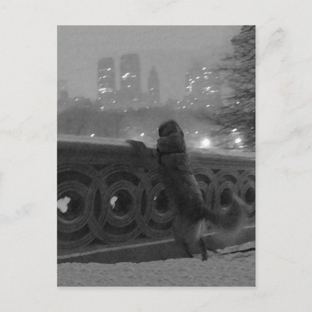 Cartão Postal Parque Central "Snowy View from Arco Bridge", NYC (Frente)