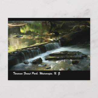 Cartão Postal Parque da Floresta Tararua, Wairarapa, N. Z.