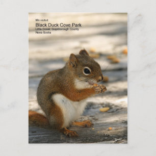 Cartão Postal Parque de Caça do Pato Negro