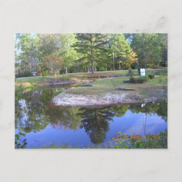 CARTÃO POSTAL "PARQUE DE SWAMP OKEFENOKEE"