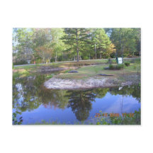 "PARQUE DE SWAMP OKEFENOKEE"