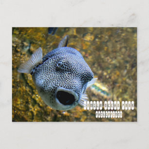 Cartão Postal Parque do Oceano Manila nas Filipinas