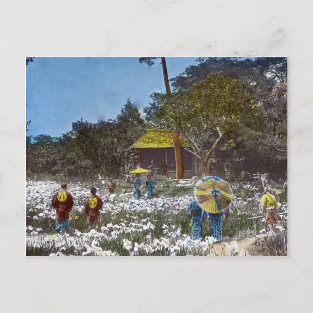 Cartão Postal Parque em Tóquio Japão Vintage Tinted (Frente)