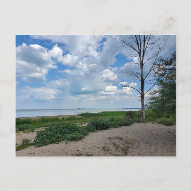 Cartão Postal Parque Estadual da Cidade de Bay (Frente)