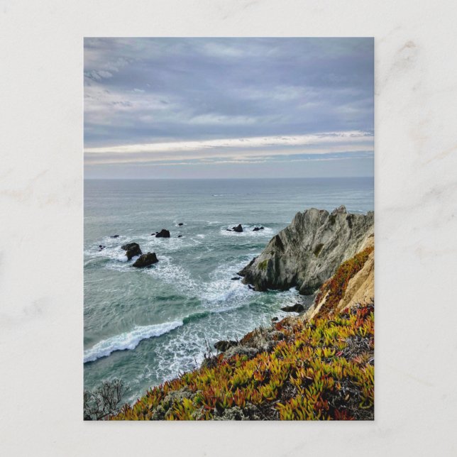 Cartão Postal Parque Estadual da Costa de Sonoma, Califórnia (Frente)