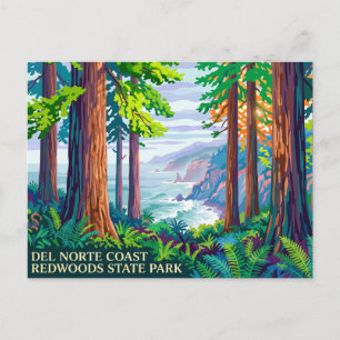 Cartão Postal Parque Estadual das Redwoods da Costa Del Norte Ca