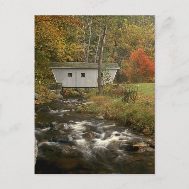 Cartão Postal Parque Estadual de Foliage Kent Falls da Ponte Cob (Frente)