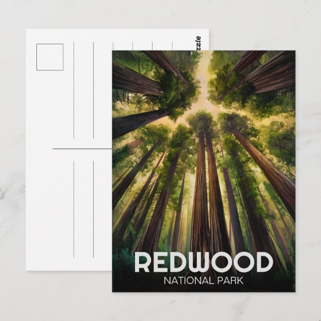 Cartão Postal Parque Estadual Nacional Redwood, Califórnia Coste (Frente/Verso)