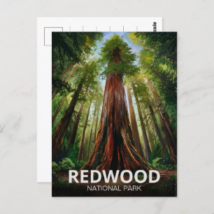 Cartão Postal Parque Estadual Nacional Redwood, Califórnia Coste