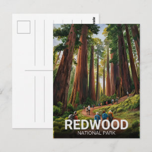 Cartão Postal Parque Estadual Nacional Redwood, Califórnia Coste
