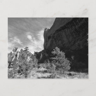 Cartão Postal Parque Garden of the Gods Colorado Paisagem