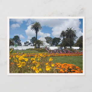 Cartão Postal Parque Golden Gate São Francisco Flores
