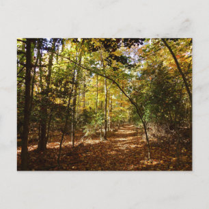 Cartão Postal Parque Greenbelt no Outono I Paisagem de Maryland