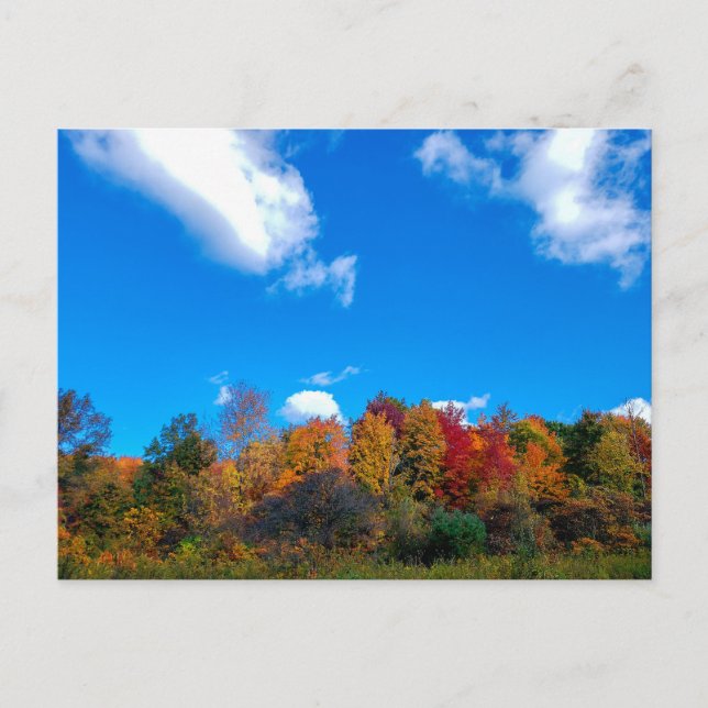 Cartão Postal Parque Metro de Blendon Woods em Fall, Columbus, O (Frente)