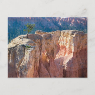 Cartão Postal Parque Nacional Bryce Canyon