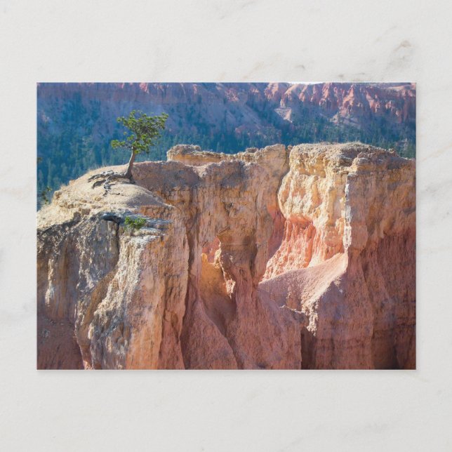 Cartão Postal Parque Nacional Bryce Canyon (Frente)