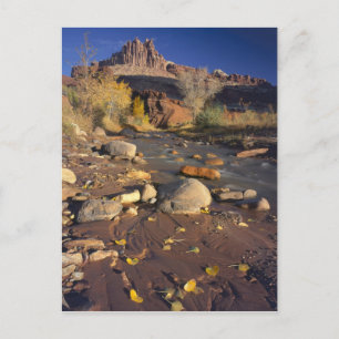 Cartão Postal PARQUE NACIONAL CAPITOL REEF, UT, EUA, Cottonwood