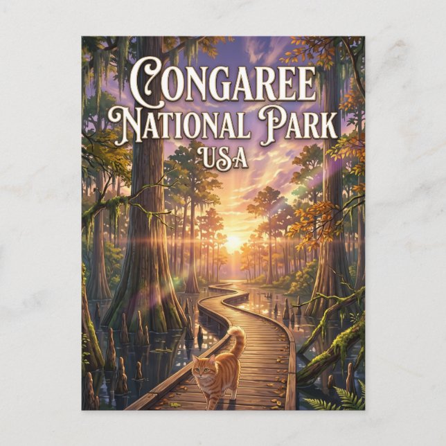 Cartão Postal Parque Nacional Congaree EUA (Frente)