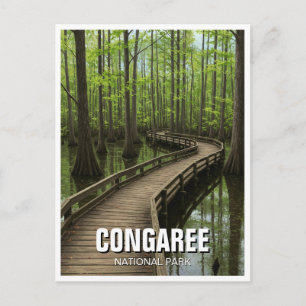 Cartão Postal Parque Nacional Congaree Viagem Carolina do Sul