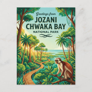 Cartão Postal Parque Nacional da Baía de Jozani Chwaka Tanzânia