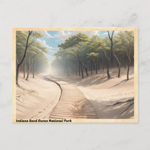 Cartão Postal Parque Nacional das Dunas de Indiana Viagem Vintag