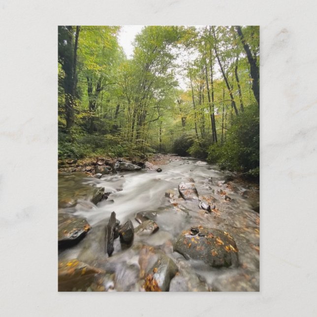 Cartão Postal Parque Nacional das Montanhas do Enfumaçado excele (Frente)