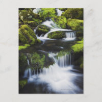 Parque Nacional das Montanhas do Enfumaçado excele