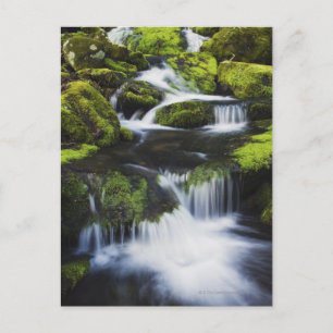 Cartão Postal Parque Nacional das Montanhas do Enfumaçado excele