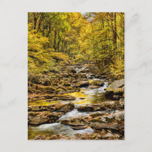 Cartão Postal Parque Nacional das Montanhas do Enfumaçado excele