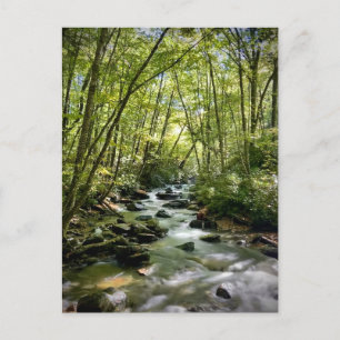 Cartão Postal Parque Nacional das Montanhas do Enfumaçado excele