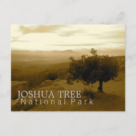 Cartão Postal Parque nacional de árvore de Joshua