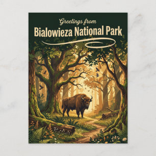 Cartão Postal Parque Nacional de Białowieża Polônia