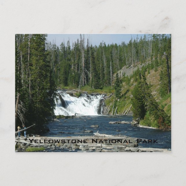 Cartão Postal Parque Nacional de Yellowstone (Frente)