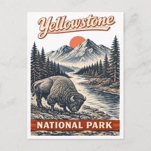 Cartão Postal Parque Nacional de Yellowstone - Bisonte