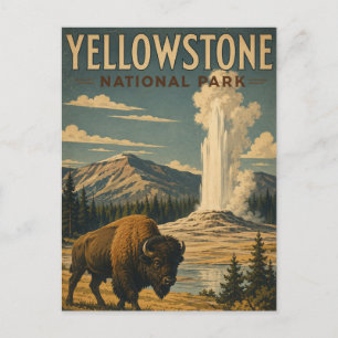Cartão Postal Parque Nacional de Yellowstone Bisonte Estilo Vint
