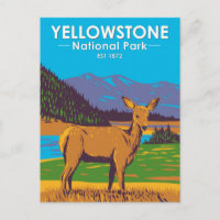 Parque Nacional de Yellowstone Veado Mula Vintage