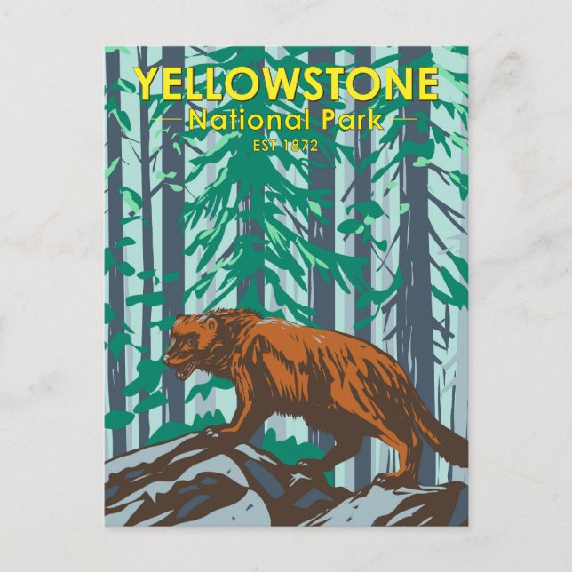 Cartão Postal Parque Nacional de Yellowstone Wolverine Vintage (Frente)