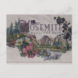 Cartão Postal Parque Nacional de Yosemite