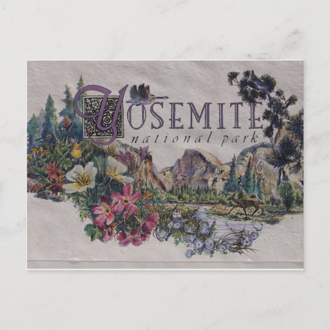 Cartão Postal Parque Nacional de Yosemite (Frente)