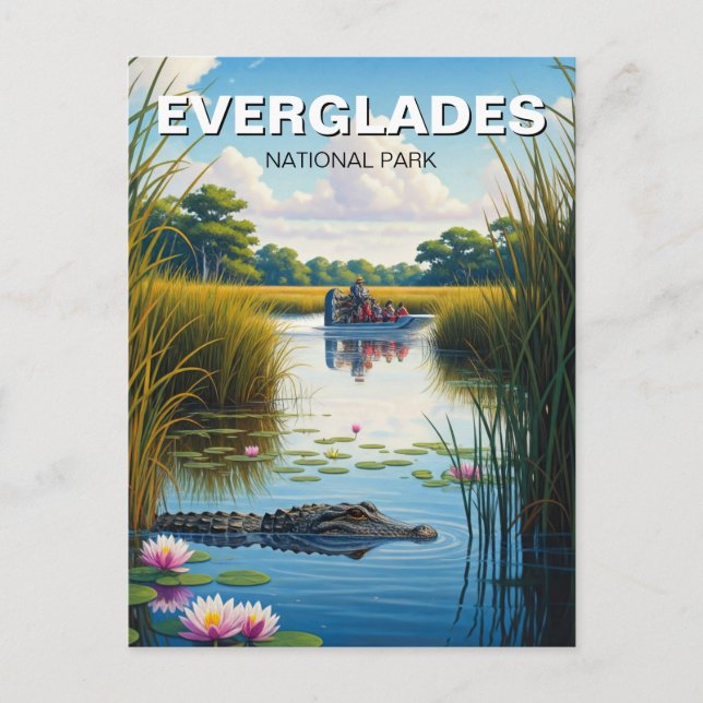Cartão Postal Parque Nacional do Alligator e do Airboat Everglad (Frente)